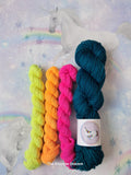 Sock Along Sockalong Sock Sets High Twist Sock Merino Nylon 100g plus 3 x 20g Minis